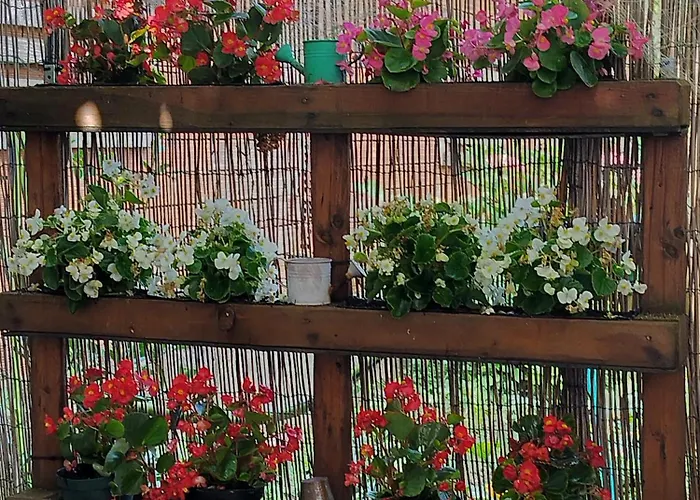 B&Bvintage5Bis Torino